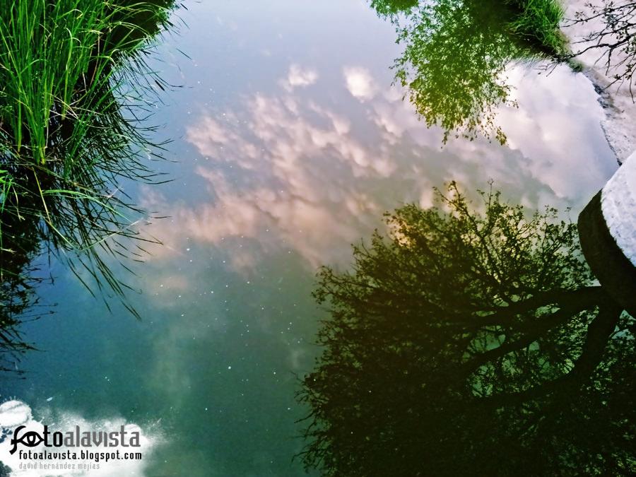 Entre el cielo y el suelo