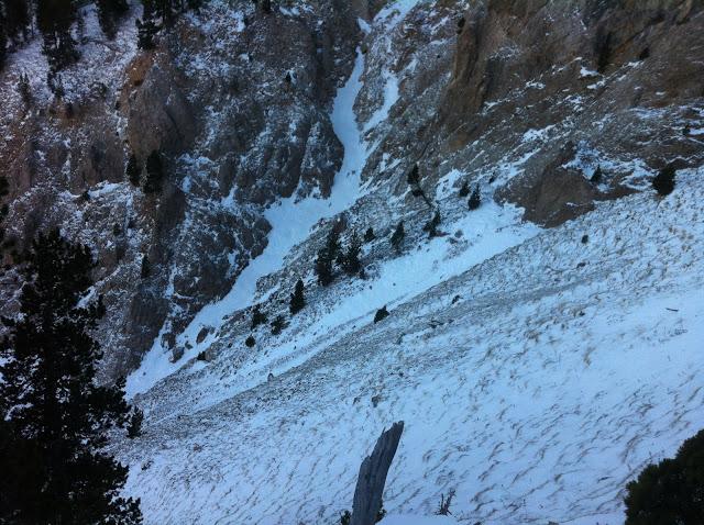 PARKA CON CAPUCHA Y PELO