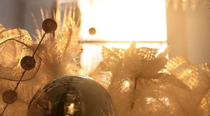 SPECIAL CHRISTMAS LOOKS I