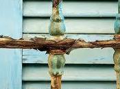 tres rejas joven discípulo filósofo sabio ll...