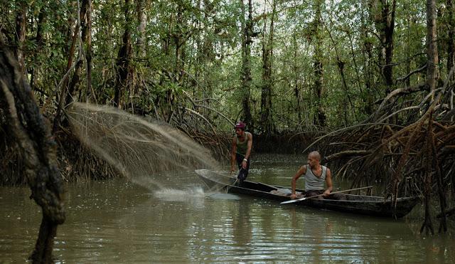 El Vuelco del Cangrejo: El Pacífico colombiano