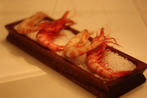 Navidades y Fin de año con vistas al Mar desde el Arola