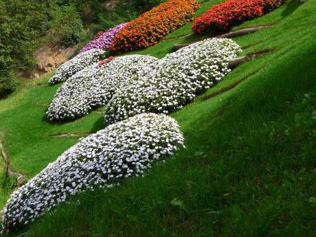 Paisajes Reales con... Fernando Carro