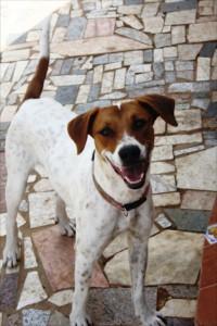 La buena de Lola te necesita. (Sevilla)