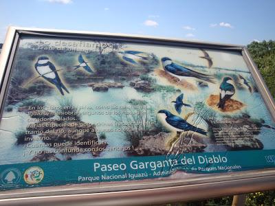 Otra perspectiva de Iguazú