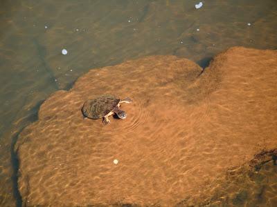 Otra perspectiva de Iguazú
