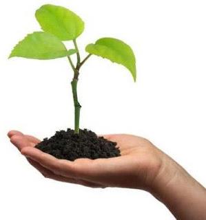 Calendario de Navidad - 18 de diciembre