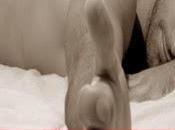 mires
