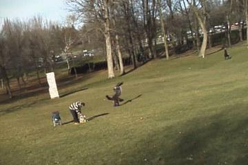 IMPRESIONANTE !! Un águila intentó secuestrar a un bebé – NOTICIAS DE MIEDO Un águila intentó secuestrar a un bebé