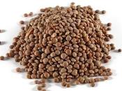 propiedades lentejas