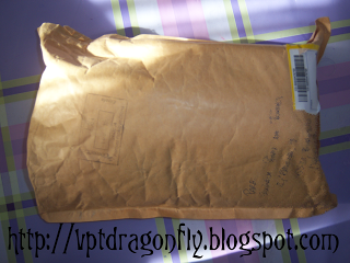 ¡¡PNI 2012 + Primeros capítulos de la novela Hidden Girl!!