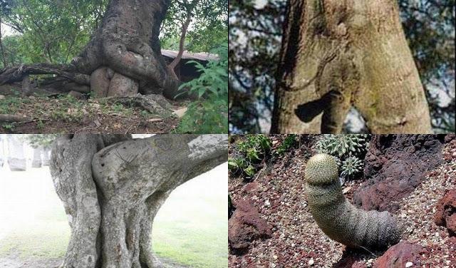 Entre 18 y 76 (todo,..casi igual)