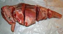 Receta de paletilla de cordero al horno