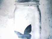 Portada español Beautiful Disaster Jamie McGuire