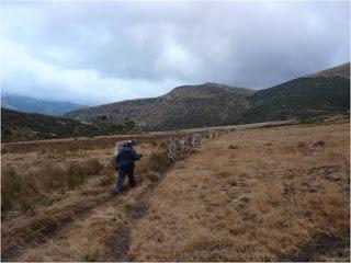 La trampa permanente