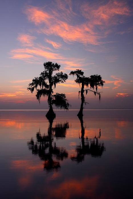 Inspiration days (IV) 