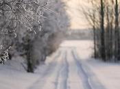 Winter... snow!!