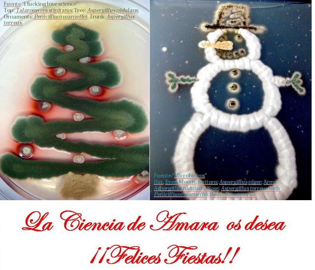 ¡¡Felices Fiestas!!