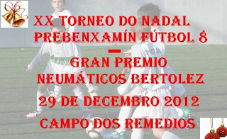 XX TORNEO NADAL PREBENJAMÍN FÚTBOL 8 EN EL PABELLÓN (OURENSE)