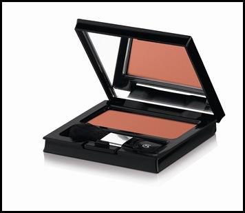 Blush Poudre Bois de Rose 518