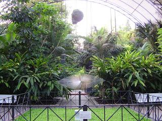 Jardín botánico de Valencia