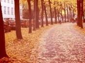 Cómo andas ventas? factores pueden estar afectando volumen ingresos