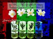 Claves para disfrutar vida.