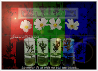 Claves para disfrutar la vida.