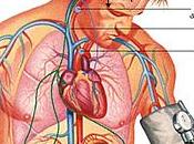 Forma identificar sufre hipertensión arterial