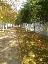 Os deseo buena vista