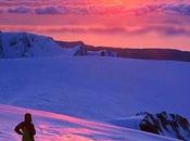 metas camino: flores fruto