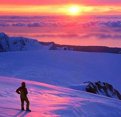 LAS METAS SIN CAMINO: FLORES SIN FRUTO