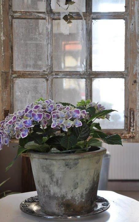 Inspiración de fin de semana: Detrás de la ventana