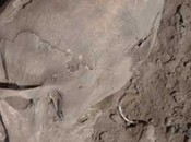 Descubren misterioso cementerio lleno cráneos alargados curiosos NOTICIAS MIEDO