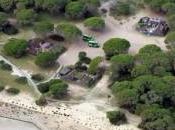 'cuatro cuatro' Doñana