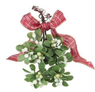 El Muérdago símbolo de la Navidad