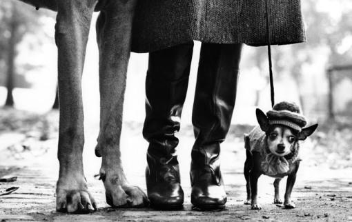 Click to visit the original post