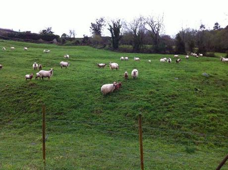 Camijanes, mirador del Poeta