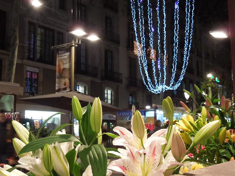 Iluminación navideña en Barcelona IX