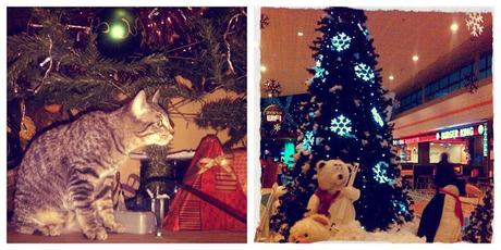 Bye Week! 23/December Bye Week! 23/December