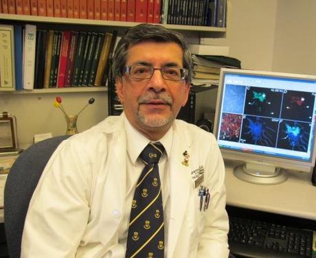 Fármaco contra la diabetes podría recuperar neuronas dañadas por la enfermedad de Alzheimer. Investigadores de la Universidad de Alberta (Canadá) han descubierto que el fármaco experimental AC253, inicialmente diseñado para combatir la diabetes, parece ser capaz de restaurar la función de la memoria en neuronas afectadas por la enfermedad de Alzheimer