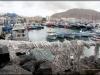 thumbs img 9270 Playa de los Cristianos: ciudad cosmopolita en Tenerife Sur 
