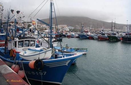 img 9325 Playa de los Cristianos: ciudad cosmopolita en Tenerife Sur 
