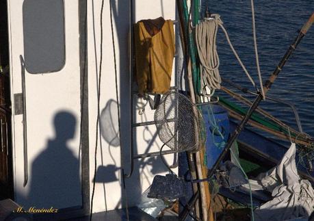 img 7138 cr2  Playa de los Cristianos: ciudad cosmopolita en Tenerife Sur 