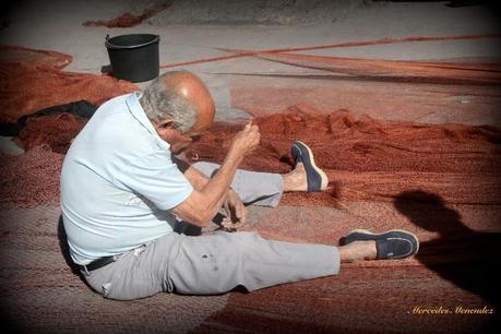 img 2157 Playa de los Cristianos: ciudad cosmopolita en Tenerife Sur 