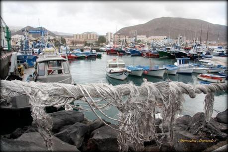 img 9270 Playa de los Cristianos: ciudad cosmopolita en Tenerife Sur 
