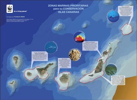amp canarias copia 2 Reservas marinas de las Islas Canarias 