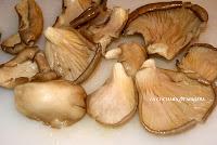 MAGRO CON PUERROS Y SETAS