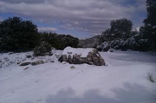 Tiempos de Paz, Amor y Reflexion.
