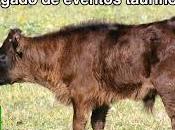 Felices fiestas mejor 2013